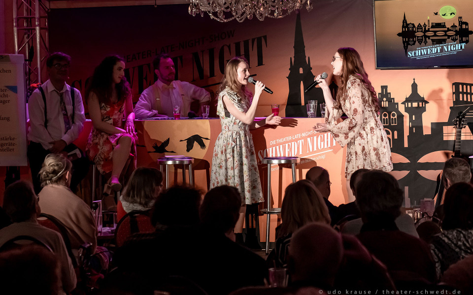 Schwedt Night - Die Show – Foto 19 von 20