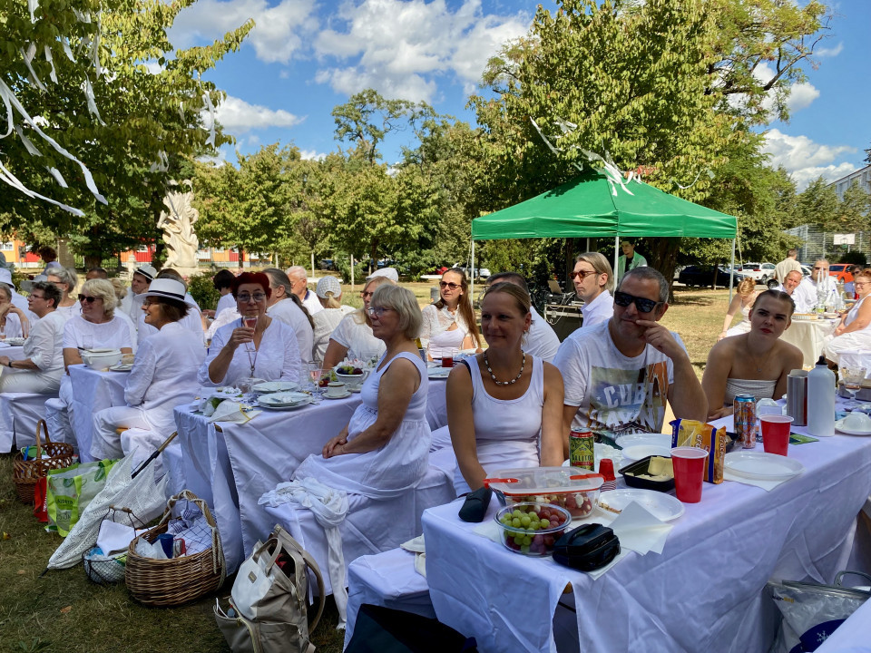 Eine große Gruppe von Menschen in weißer Kleidung sitzt an langen, weiß gedeckten Tischen bei einem Picknick im Park. Auf den Tischen stehen Getränke, Obst und Geschirr, während im Hintergrund Bäume, ein grünes Zelt und ein blauer Himmel mit Wolken zu sehen sind.