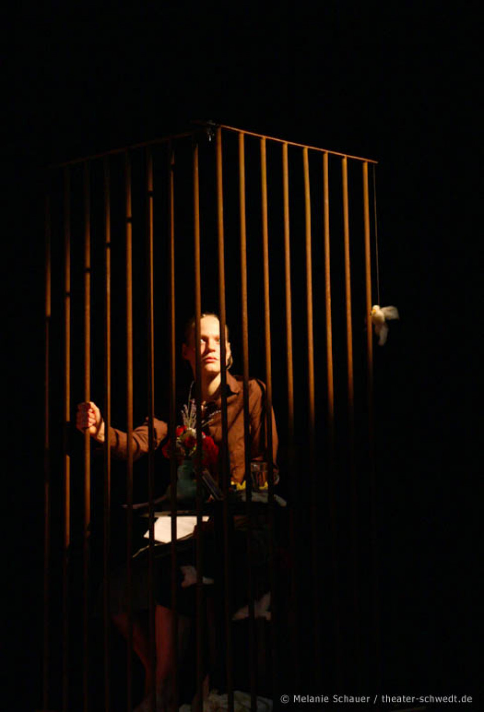 Die Taube im Gitterkreuz - Theater Frankfurt