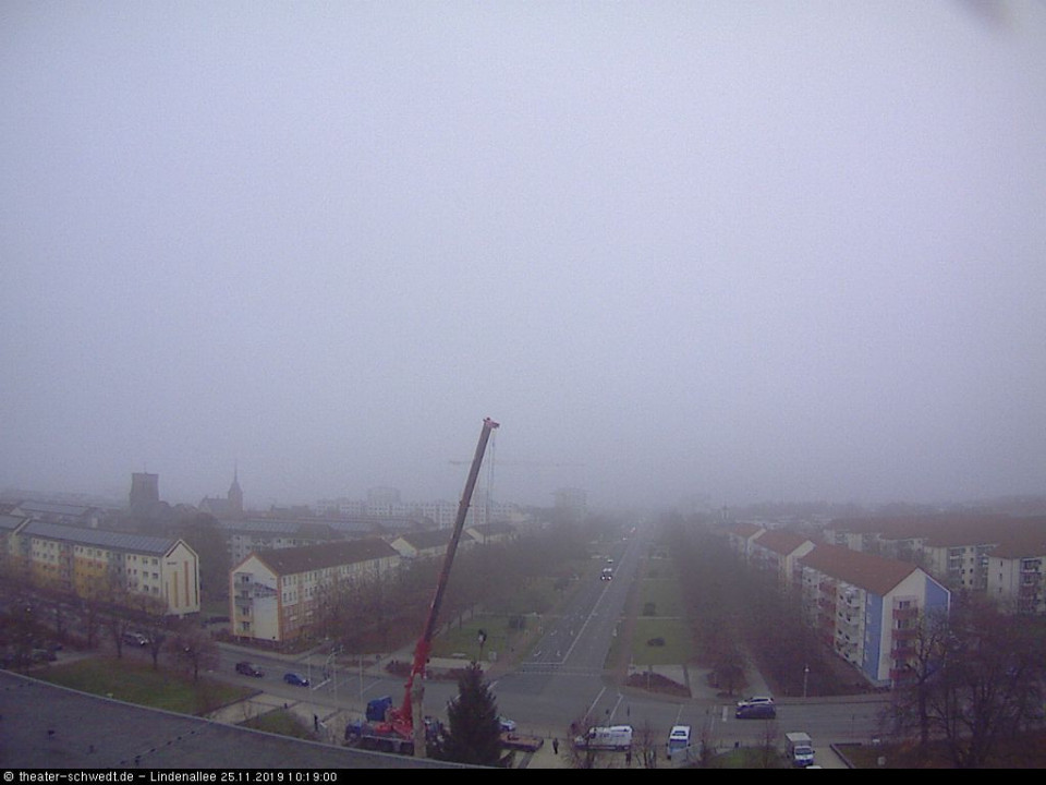 .Alle Jahre wieder, der Weihnachtsbaum wird gestellt. (hinzugefügt von gottlieb am 25.11.2019)