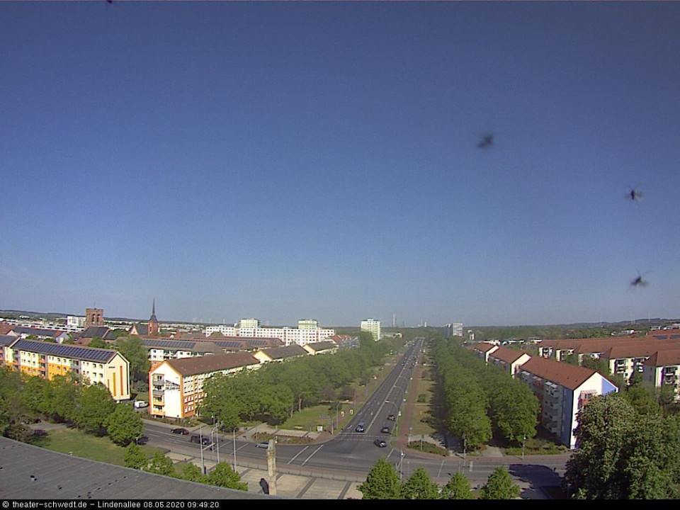 Viel Käfer unterwegs... Maikäfer? (hinzugefügt von Heimweh am 08.05.2020)
