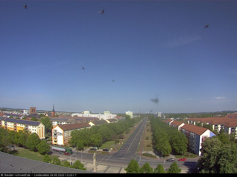 störche im Anflug (hinzugefügt von volker am 09.05.2020)