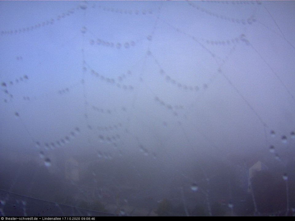 Nebel im Netz gefangen (hinzugefügt von Schwedter am 17.10.2020)