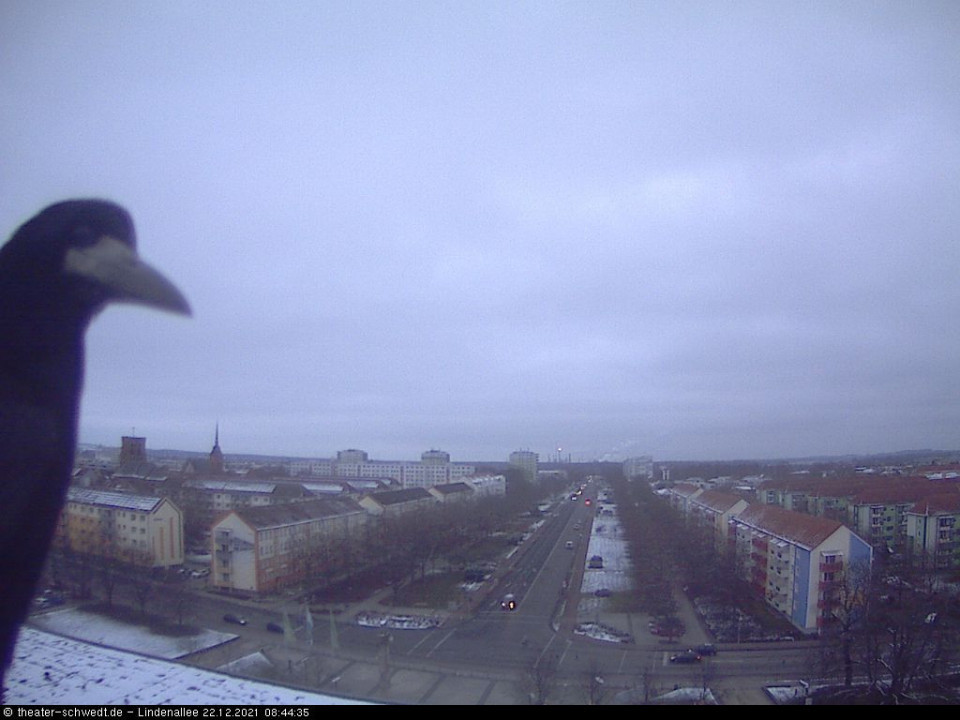  (hinzugefügt von OCIN am 22.12.2021)