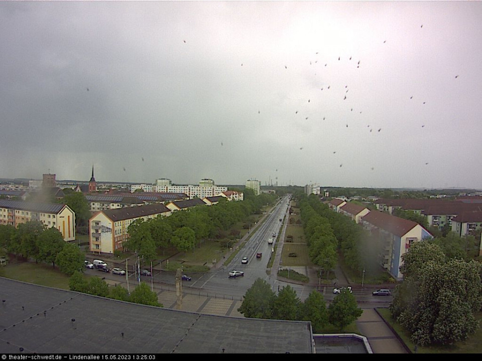 Insektenschwärme? (hinzugefügt von Heimweh am 15.05.2023)