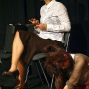 14.Schultheaterfest – Foto 108 von 119